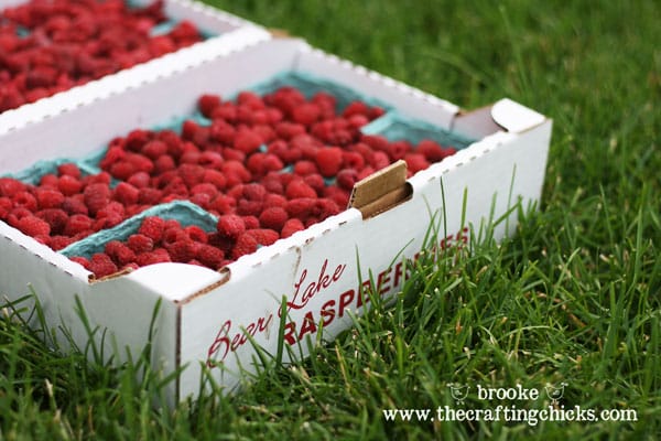 flat-of-bear-lake-raspberries