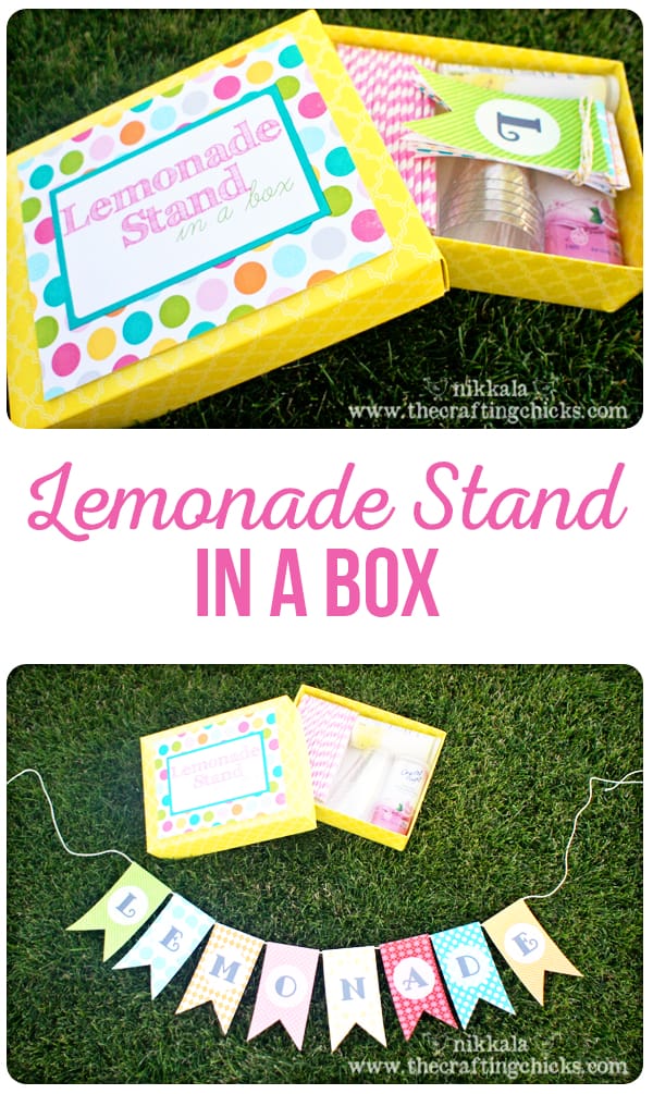 Lemonade Stand in a Box