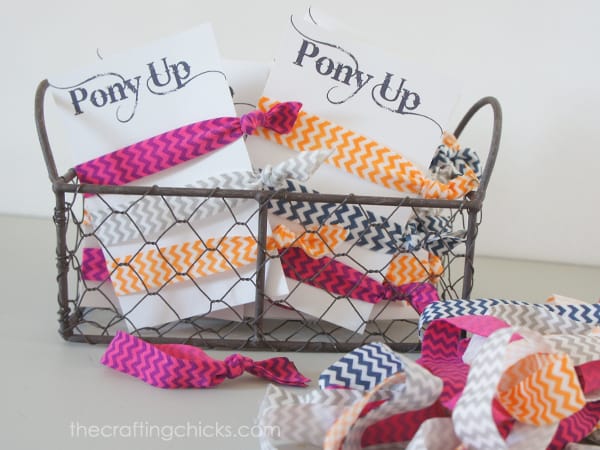 Pony Up Hair Tie Cards