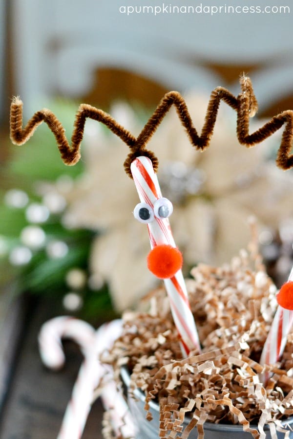Rudolph Candy Canes {Christmas Traditions Series}
