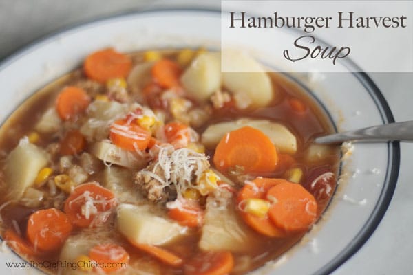 Hamburger Harvest soup with potatoes and carrots.