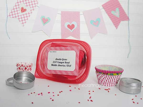 Valentine Party in a Box Happy Mail