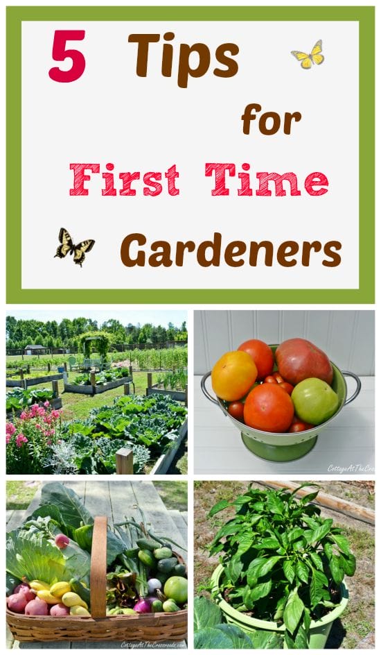 5-Tips-for-First-Time-Gardeners