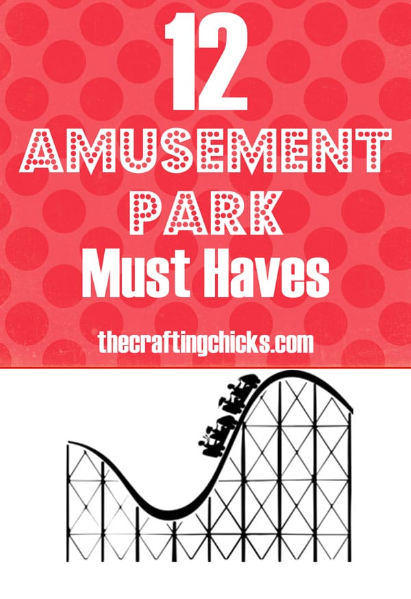 Amusement Park Must-Haves: When Going With Kids