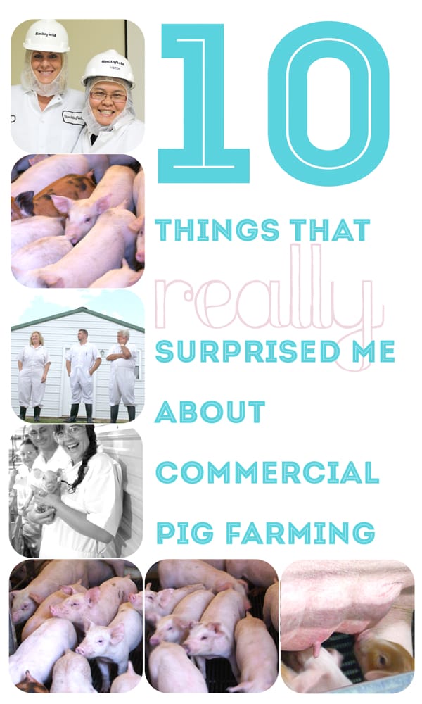 10 Things that REALLY Surprised Me About A Commercial Pig Farm I Visited