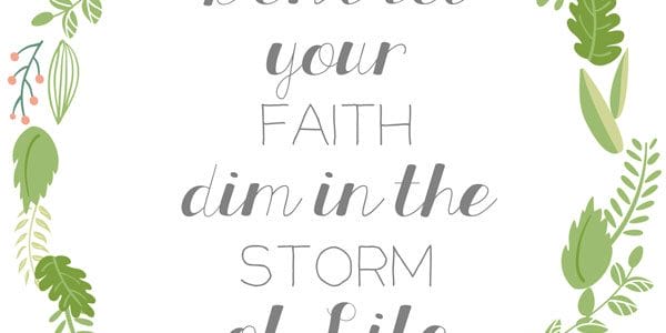Having Faith in The Storm of Life with a free printable. This printable is one way to add goodness to your day. Print it out and display.