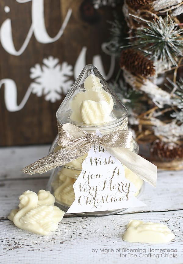 White Chocolate Swans::Blogger Best 12 Days of Christmas