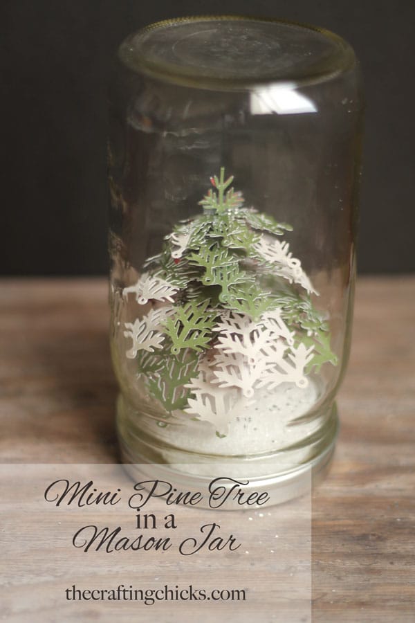 Mini Pine Tree in a Mason Jar