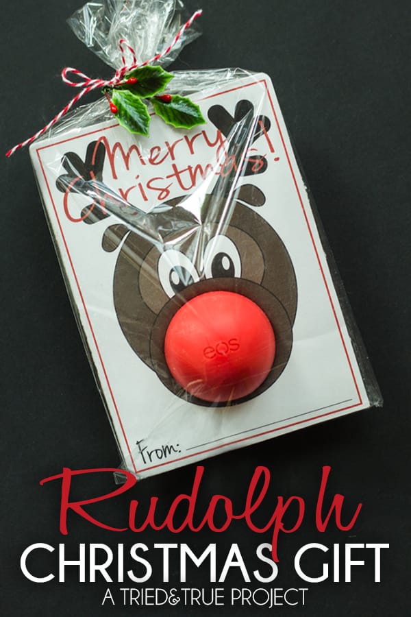 DIY Rudolph Christmas Gift::Bloggers Best 12 Days of Christmas