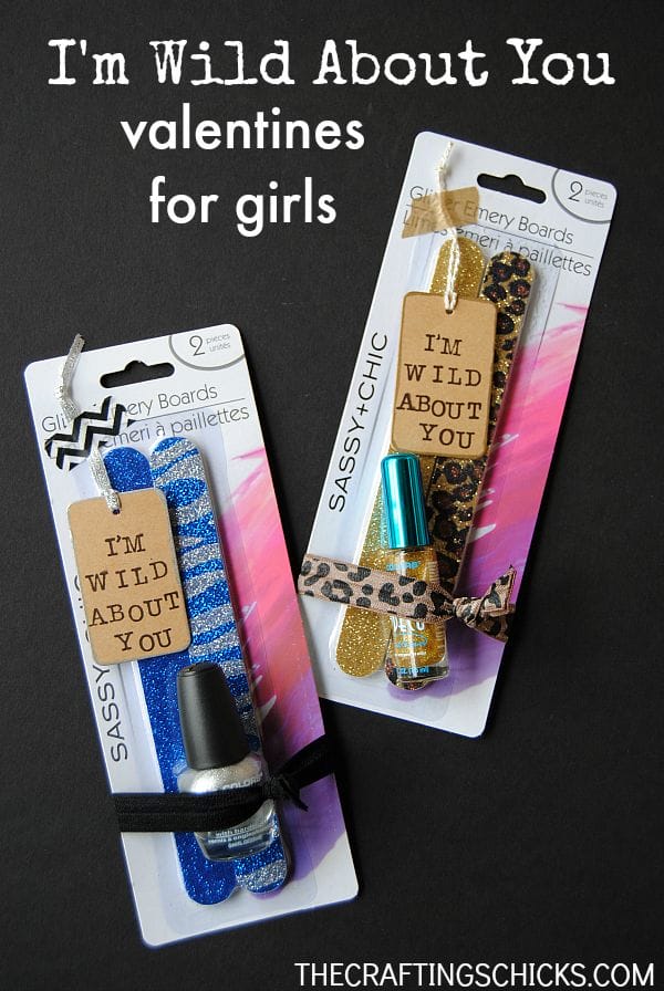 Super cute non-candy Valentine idea for girls and teens! I'm Wild about You Valentines!