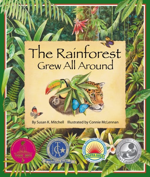 Rainforest grew all around