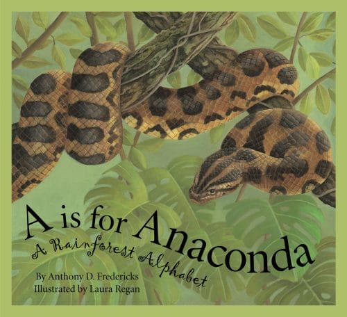 rainforest a is for anaconda