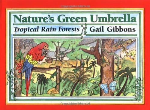 rainforest natures green umbrella