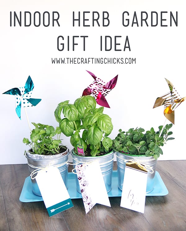 Indoor Herb Garden with Minc Gold Foil Touches