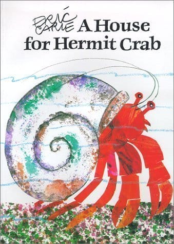 ocean a house for hermit crab
