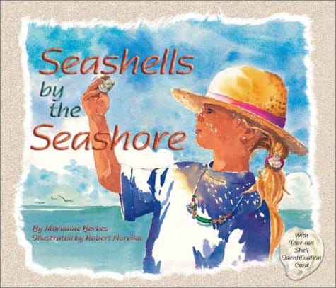 ocean seashells by the seashore