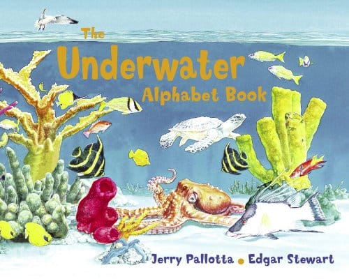 ocean the underwater alphabet book