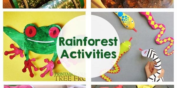 Rainforest Activities and Printables - My kids are going to love these crafts!