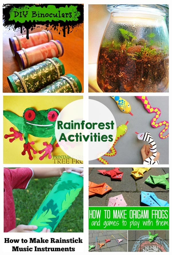 Rainforest Activities and Printables
