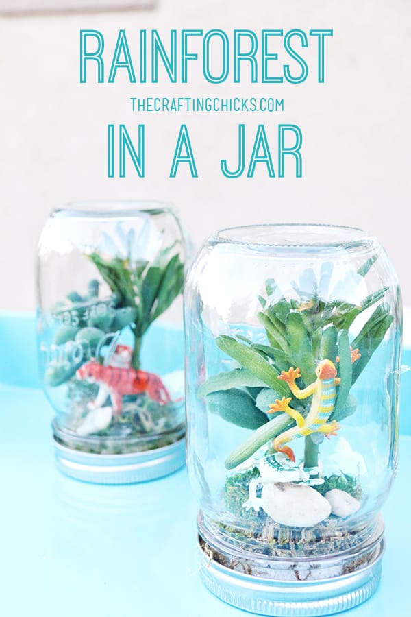 Rainforest in a Jar Kid Craft
