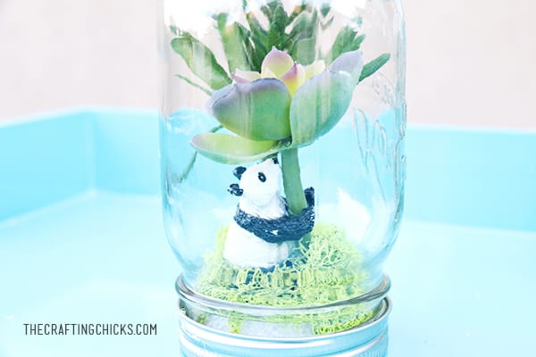 Learn about rainforest and create your own rainforest in a jar