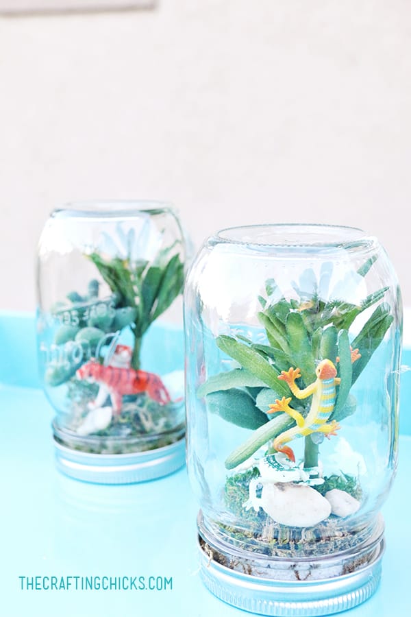 Rainforest in a Jar - great summer project for kids