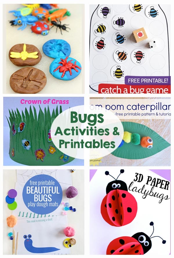 Bugs Activities and Printables