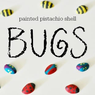 Painted Pistachio Shell Bugs