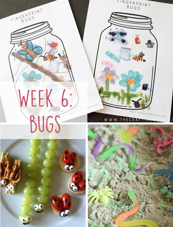 Bug Week. A list of books, crafts, activities and recipes to easily engage your kids. 