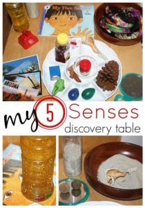 My 5 Senses - Activities and Printables - The Crafting Chicks