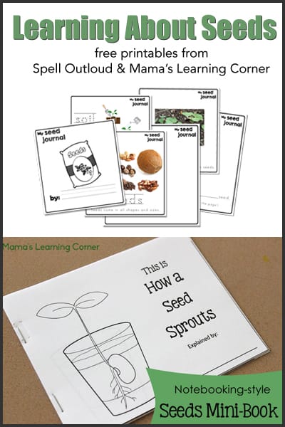 In the Garden with Kids - Activities and Printables - So many ideas!  Perfect for keeping the kids busy this summer!