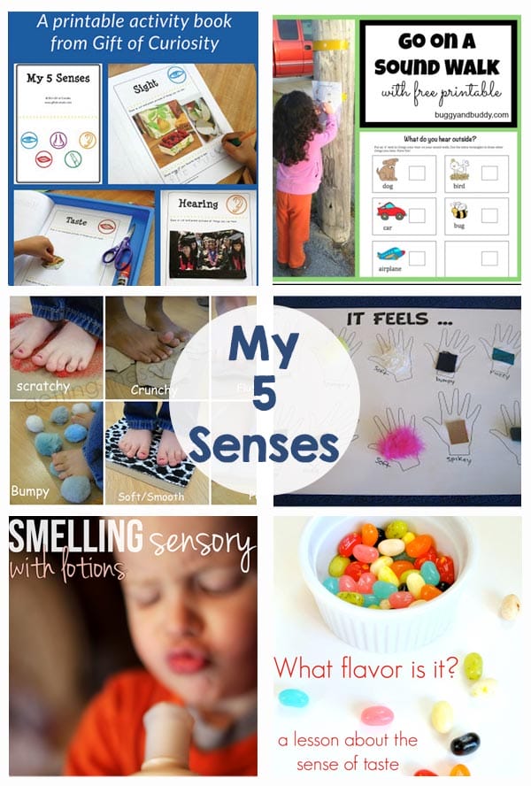My 5 Senses – Activities and Printables