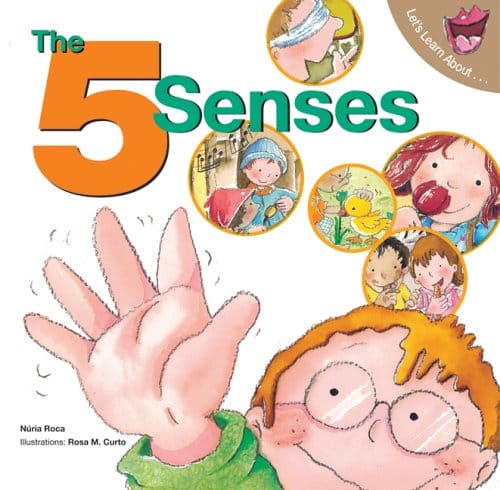 five sense 5 senses