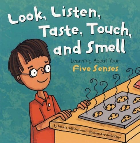 five senses look, listen, taste, touch, and smell