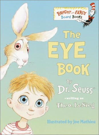 five senses the eye book