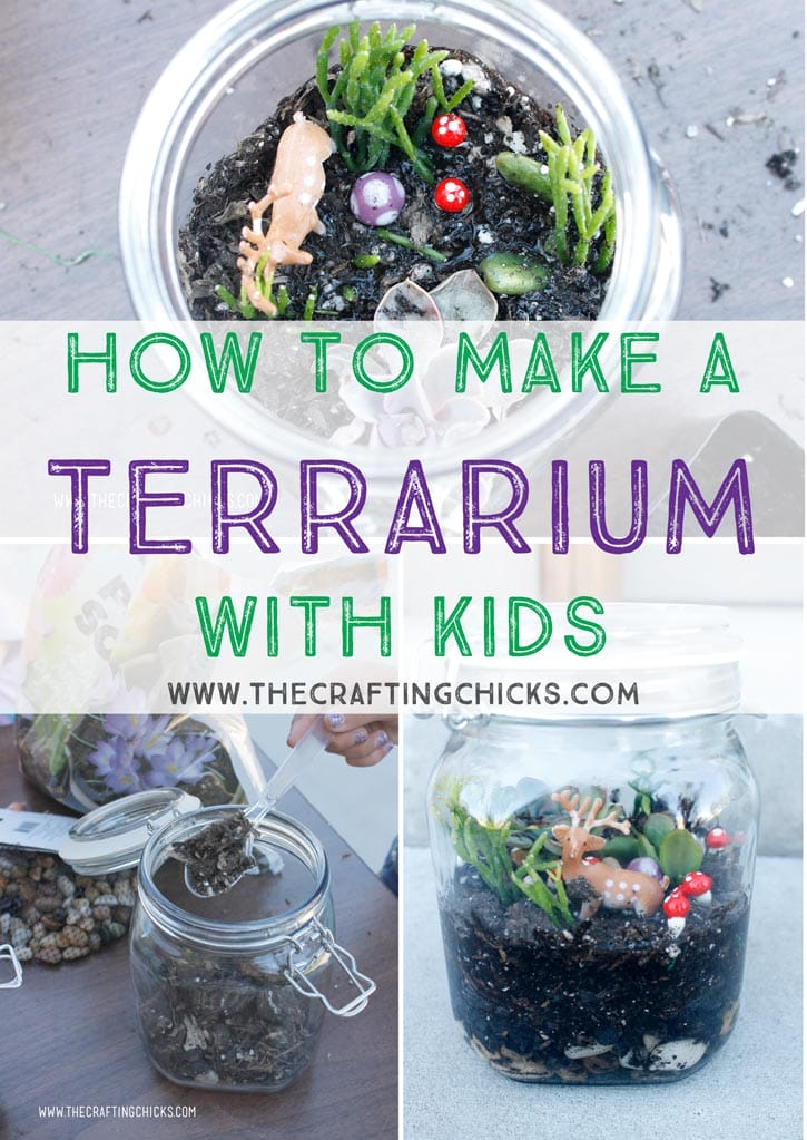 How To Make A Terrarium With Kids