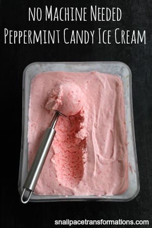 Peppermint Candy Ice Cream
