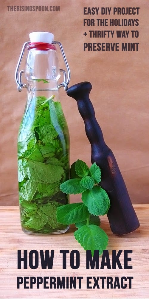 Homemade peppermint extract