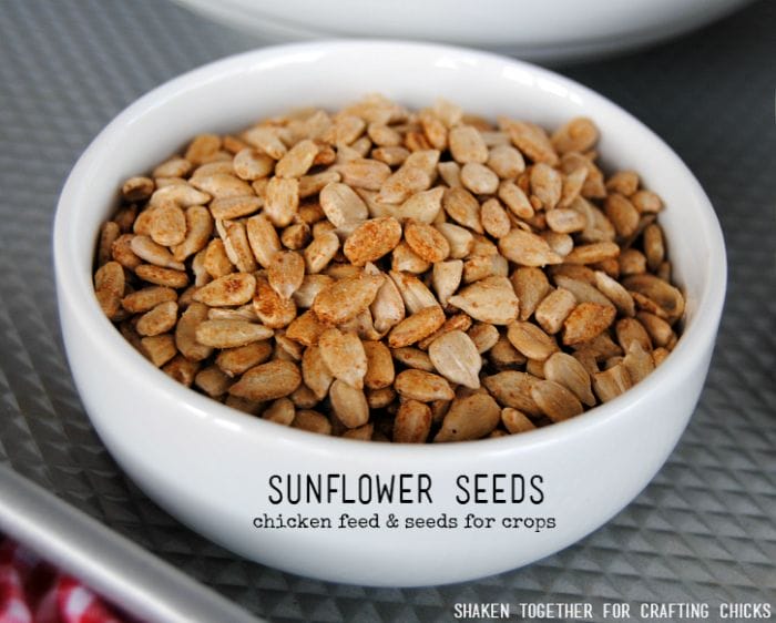 On the Farm Snack Mix - feed the chickens and grow crops with the sunflower seeds!