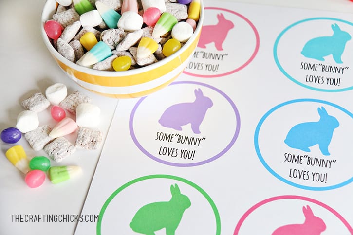 Some”bunny” Loves You Treat Tag Free Printable