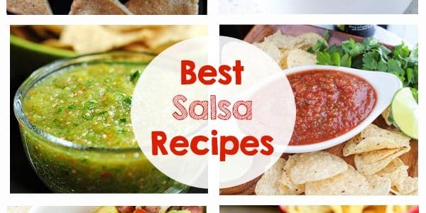 Best Salsa Recipes - Peach Salsa, Pineapple Salsa, Mango Salsa, Greek Salsa, Fresh Tomato Salsa, Avocado Salsa, Tomatillo Salsa... and so much more! Can't wait for the next summer BBQ!