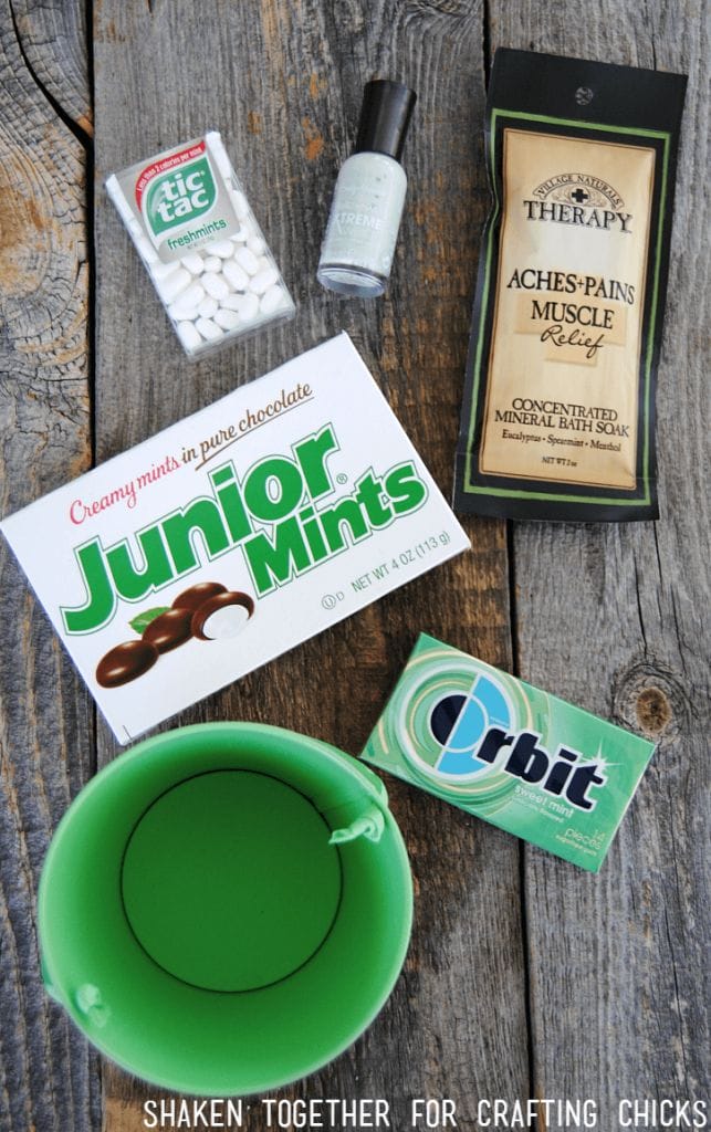 Hunting down all of the minty items to fill this bucket was the best part of this Mint Themed Teacher Gift!