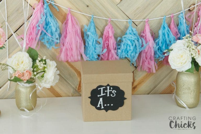 Balloon Baby Gender Reveal Party