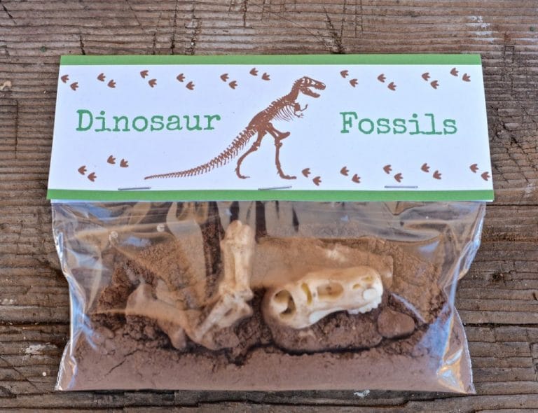 Dinosaur Dig Snack