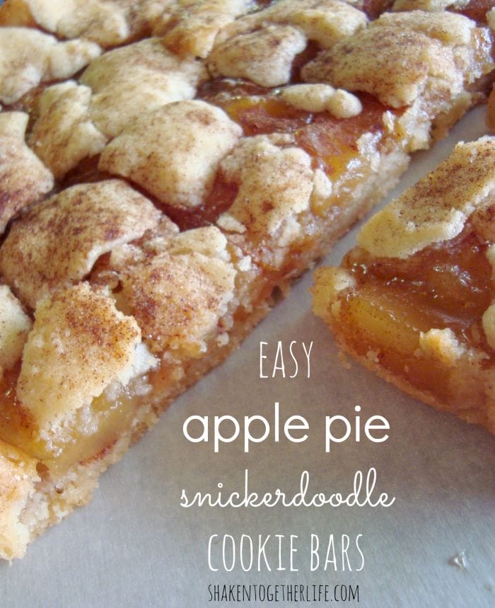 Apple Pie Snickerdoodle Cookies Bars from Shaken Together