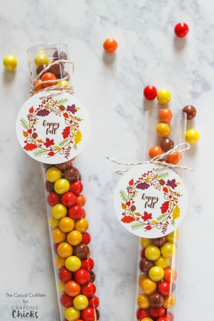 This Free Printable Happy Fall Tag is great for any autumn treat or gift.