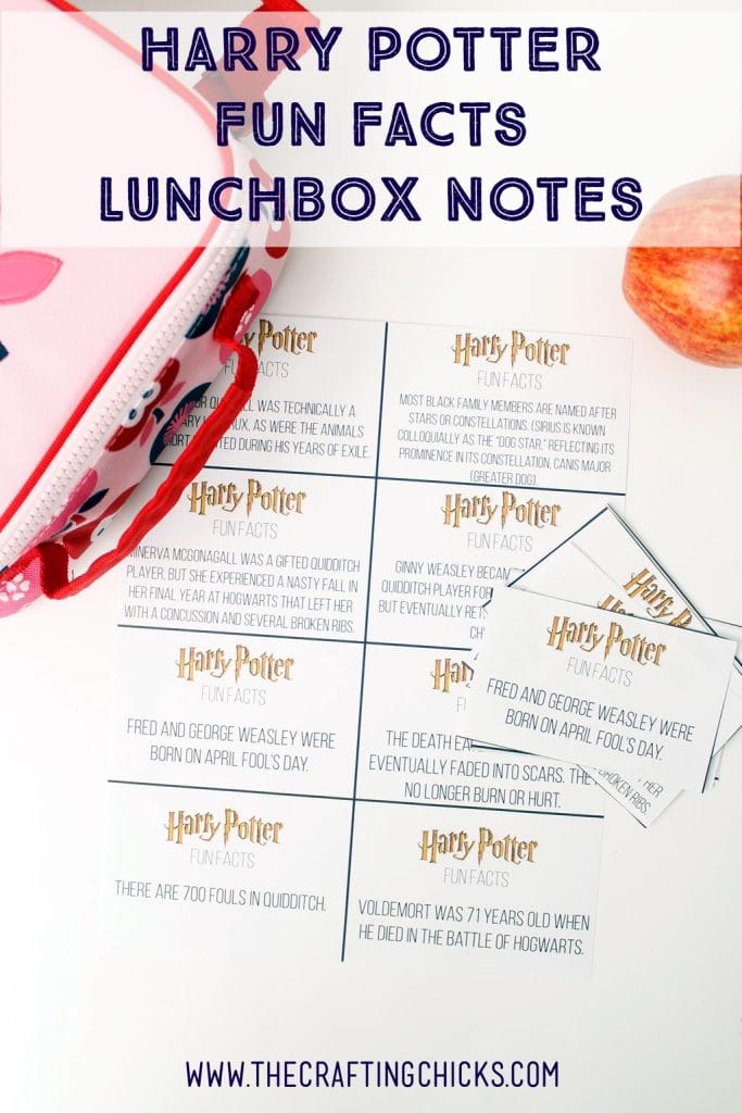 Harry-Potter-Lunchbox