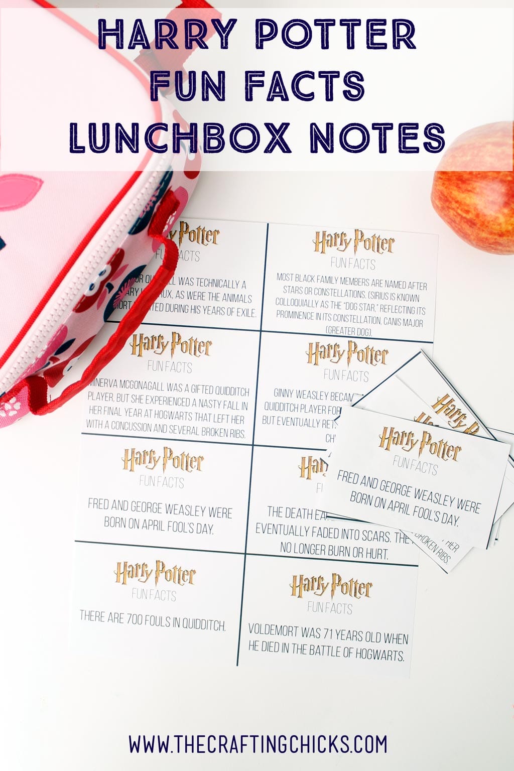 Harry Potter Fun Facts Lunchbox Printables. Perfect for any Harry Potter fan.