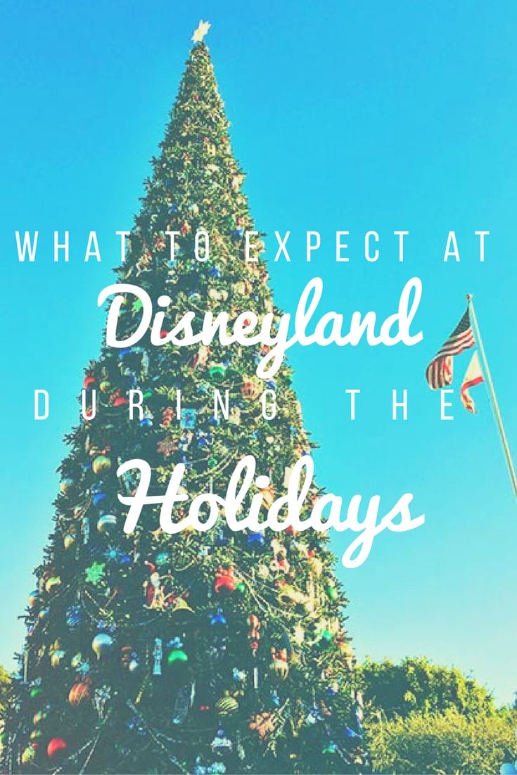 What to Expect at Disneyland During Christmas