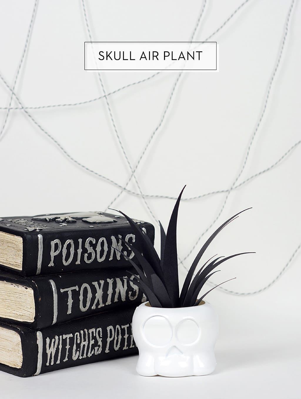 Skull Air Plant